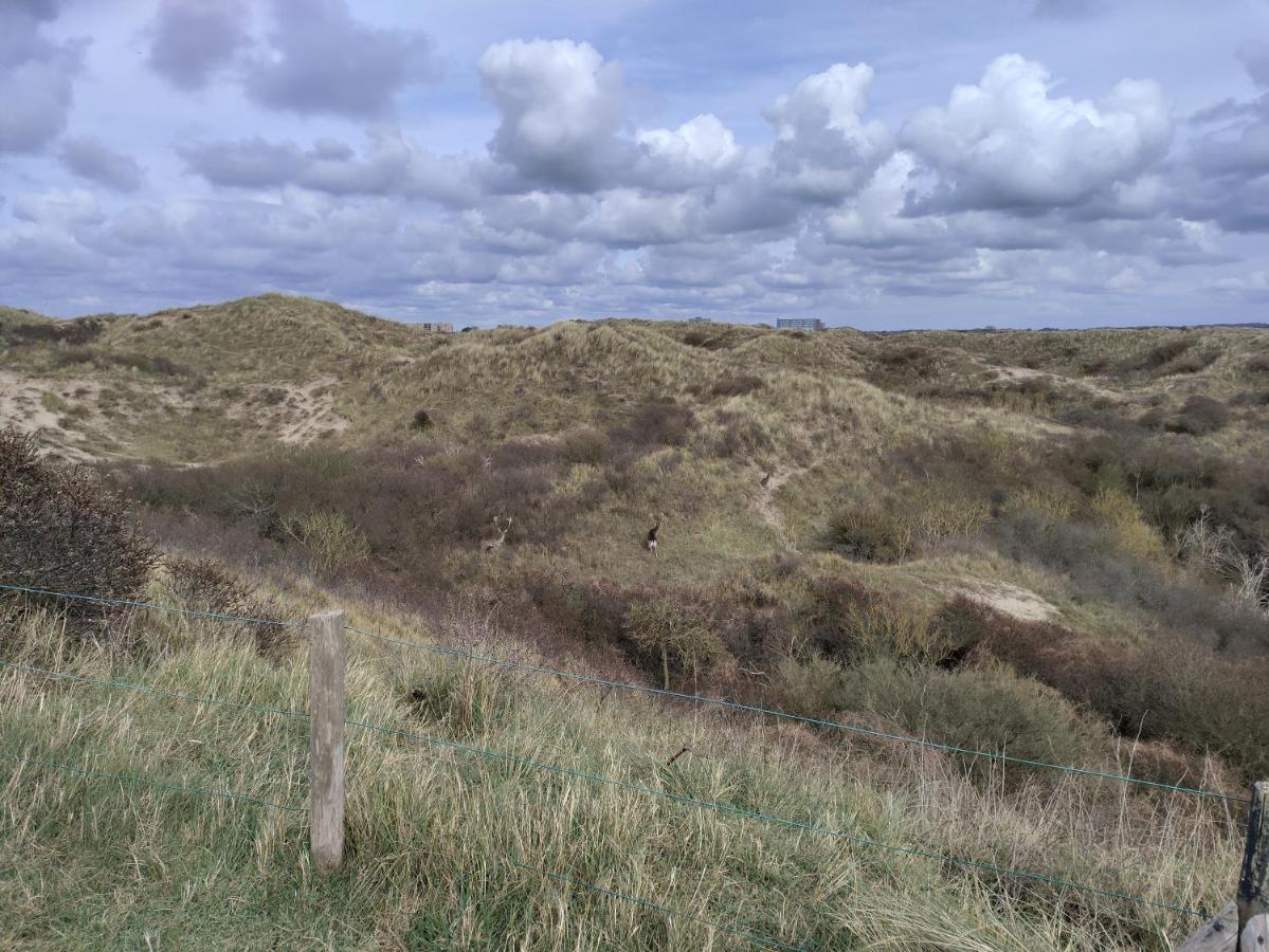Ons Strandhuis Daire IJmuiden Dış mekan fotoğraf